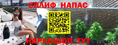 хмурый Будённовск