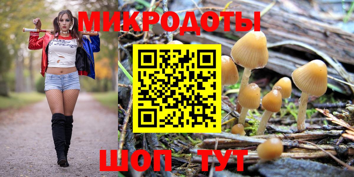 где можно купить   Галлюциногенные грибы GOLDEN TEACHER  Галлюциногенные грибы Magic Shrooms  Вход с VPN  Чехов 
